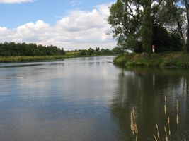 IMG_2891.JPG