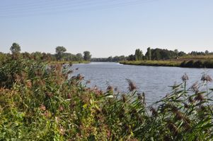 DSC_0067.JPG